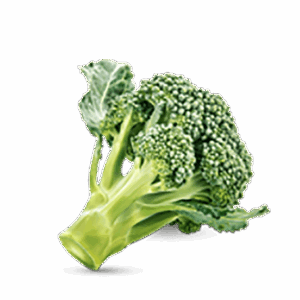 h3-product11 h3-product11