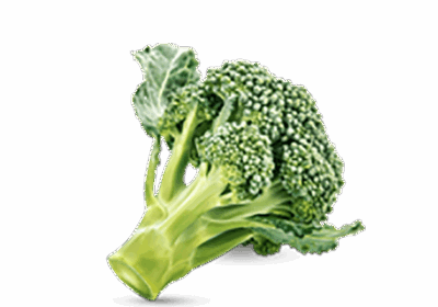 h3-product11 h3-product11