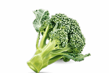 h3-product11 h3-product11