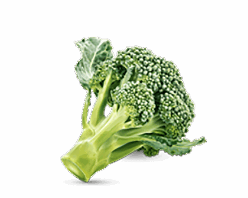 h3-product11 h3-product11