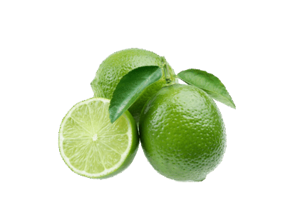 h3-product12 h3-product12