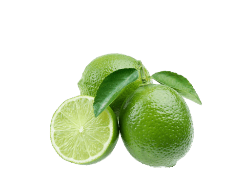 h3-product12 h3-product12