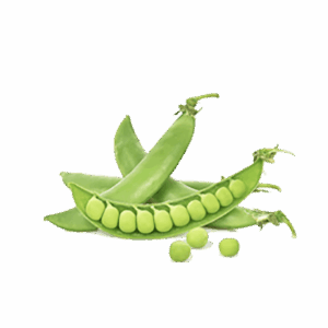 h3-product7 h3-product7