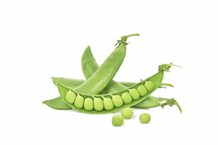 h3-product7 h3-product7