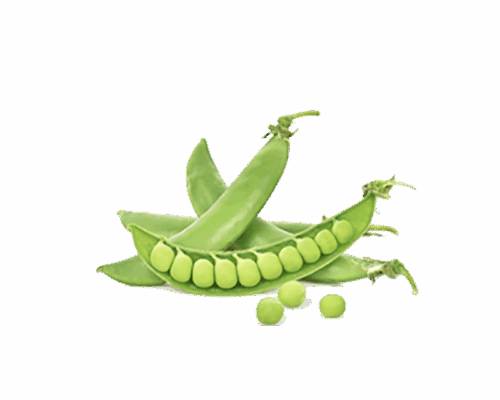 h3-product7 h3-product7