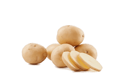 h3-product8 h3-product8